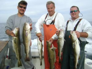 810_cod_fishing_charter