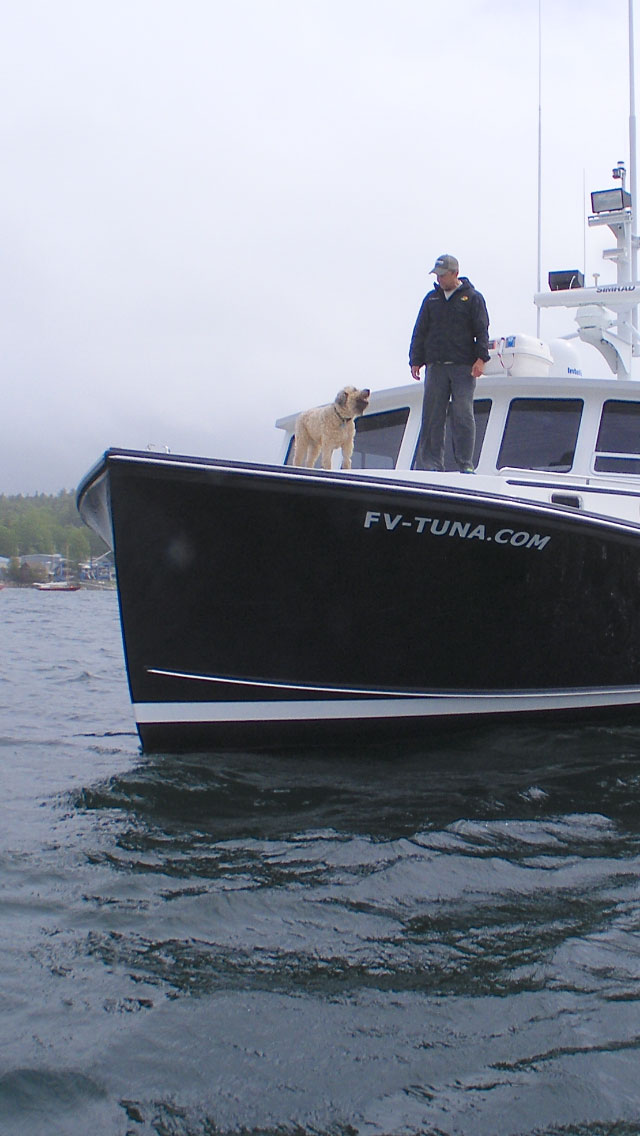 Haddock Fishing Charters, Cod Fishing Charter MA